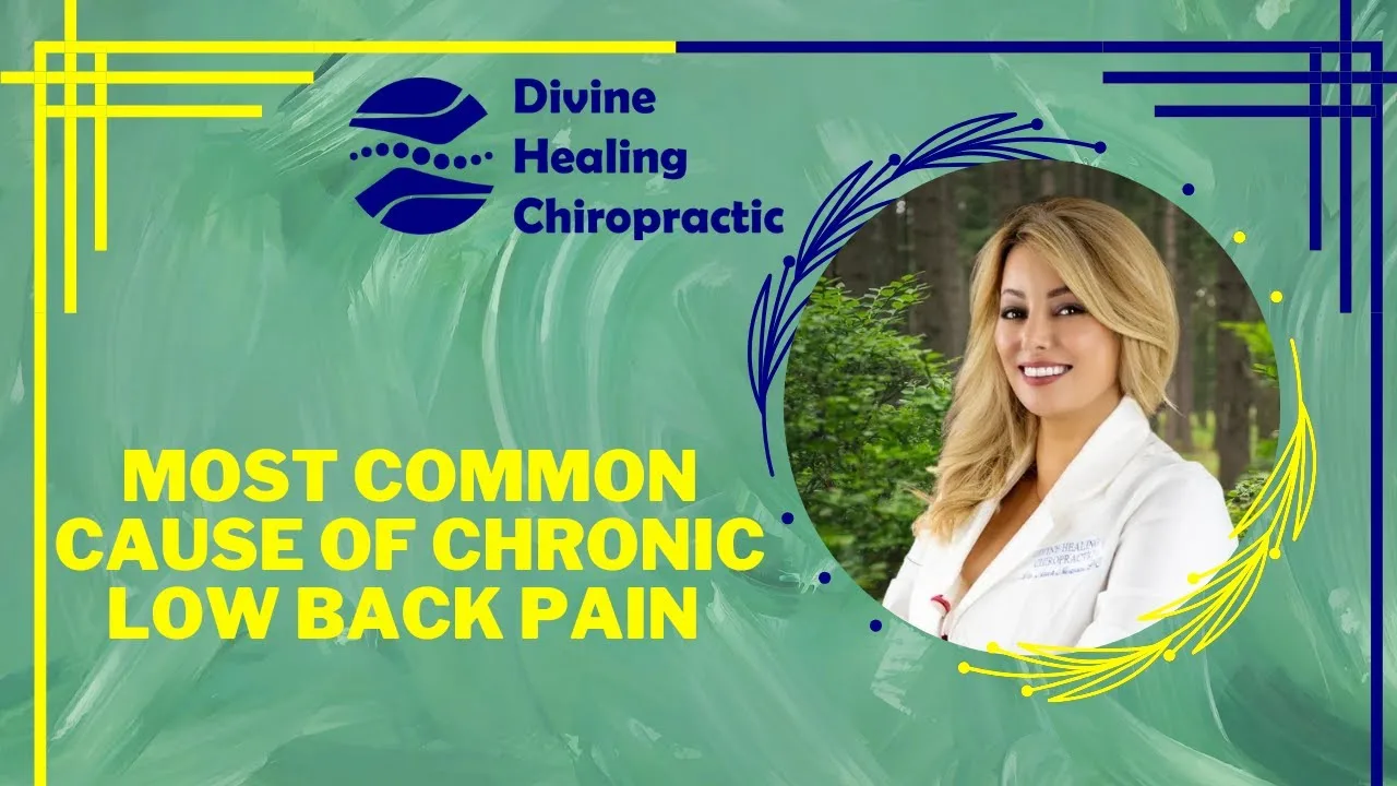 What's the Root Cause of Chronic Low Back Pain?